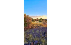 8486 Cannon Boulevard, Show Low, AZ 85901