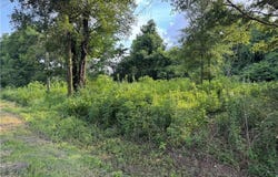 0 Gaston Loop Road W, Grand Bay, AL 36541