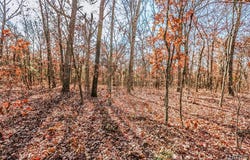0 Calvey Church Road, Robertsville, MO 63072