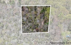 Lot 623 Laurel Road, Pocono Summit, PA 18346