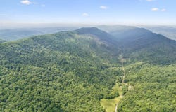 8075 Snake Hollow Rd, Sneedville, TN 37869