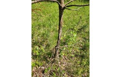 0 Greenbush Rd, Erin, NY, NY 14838