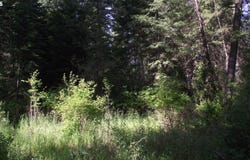 River Canyon Rd, Imnaha, OR 97842