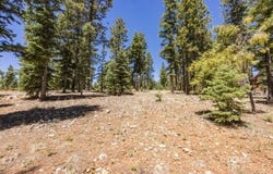 1255 E Ruger Ln, Duck Creek Village, UT 84762
