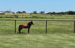 919 Gunter Road, Whitesboro, TX 76273