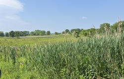 L10 Sutton Place, Coxsackie, NY 12051