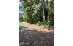 Herring Loop Road, Wallace, NC 28466