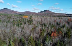 M5L16 Aroostook Scenic Highway, Hersey, ME 04780