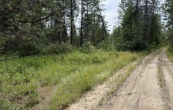 LOT 1 SPRINGDALE-HUNTERS RD, SPRINGDALE, WA 99173