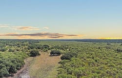 587 Valley Rd lot: 1, Eldorado, TX 76936
