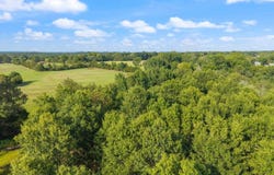 28R River Birch Drive, Guy, AR 72061