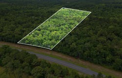 Old Federal Road, Quincy, FL 32351
