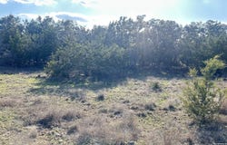 102 S John Bird, Blanco, TX 78606