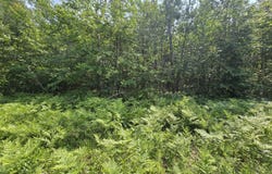 Iroquois Trail, Gaylord, MI 49735