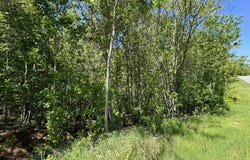 2042 Lookout Mountain Drive, Scottsboro, AL 35769