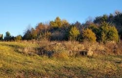 00 Linksview, Butler, KY 41006