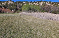 NM 503, Cundiyo, NM 87522