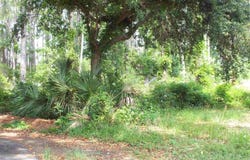 000 Eventide Rd, Milton, FL 32583