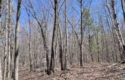 L22 Ryan Road, Greenwich, NY 12834