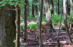 0 Two Mile Run Rd., Franklin, PA 16323