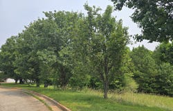 332 Cattlemans, Mcdonough, GA 30252