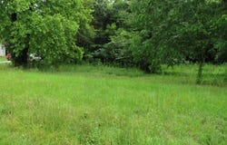 DeKalb, TX 75559