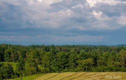 99999 Bob Wright Hill Road, Leicester, NC 28748