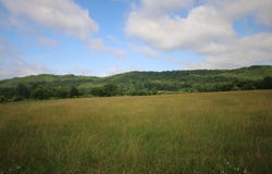 110 Acres Bivens Rd., Tellico Plains, TN 37385