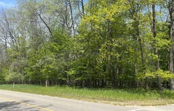 6718 Beechnut Ridge, Canadian Lakes, MI 49346