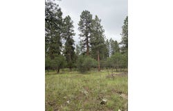 Lot 430 S Badger Trail, Ridgway, CO 81432