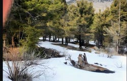 Copper Cross #3969, Moffet Gulch Rd, Divide, MT 59743