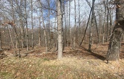 Northampton  DR, Bella Vista, AR 72714