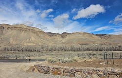 24 Pickett Loop, Challis, ID 83226
