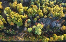 Whittier Road lot: 16 (2), Farmington, ME 04938