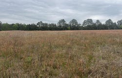 0 Mill Creek Church Road, Newton Grove, NC 28366