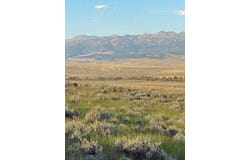 Old Flathead Creek Rd, Wilsall, MT 59086