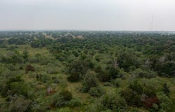 Private Road 4601 lot: 3, Waelder, TX 78959