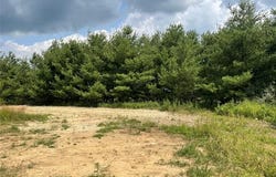 Vacant Land Wellman Line, Fremont Twp, MI 48097