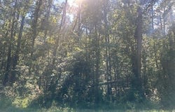 0 Del A Rae, Guyton, GA 31312