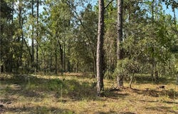 Dunnellon, FL 34431