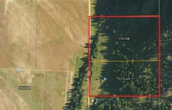 3500 ROCKCUT RD, KETTLE FALLS, WA 99141