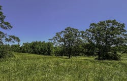 0 Farmer, Roopville, GA 30170