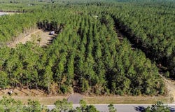 9058 Greyrock Landing Rd, Pace, FL 32571