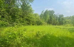3920 Tomahawk Trail, Medina, MN 55340