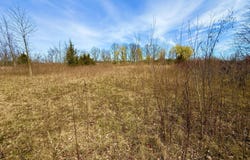 Hudson Road, Pittsford, MI 49271