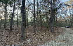 Sol Farm Road, Johns Island, SC 29455