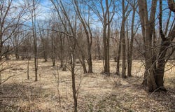 8710 Hagar Shore Road, Watervliet, MI 49098
