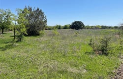 Tbd Lot 12 E Lumpkin Street, Meridian, TX 76665