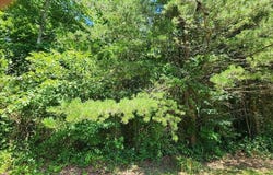 Lot5 Sr 108, Gruetli Laager, TN 37339