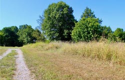county road 4171, Berryville, AR 72616